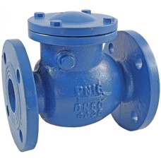 Клапан обратный чугунный подъемный фланцевый 2,5 МПа 16кч9нж Луидор 40х200 мм