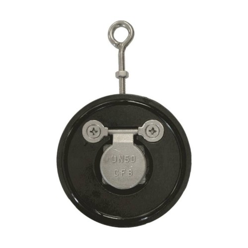 Клапан обратный стальной однодисковый межфланцевый 1,6 МПа Benarmo 80х16 мм в Кемерово